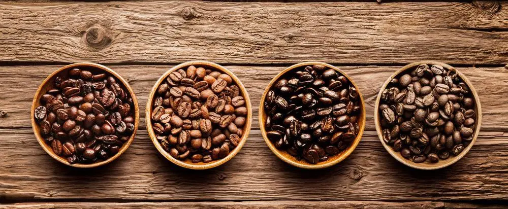 قهوه عربیکا چیست؟ ویژگی‌ها و تاریخچه